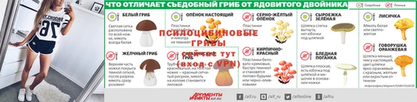 Альфа ПВП Алзамай