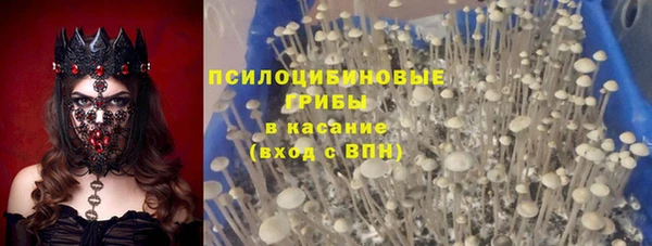 Альфа ПВП Алзамай