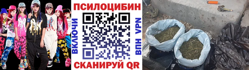 Псилоцибиновые грибы мицелий  Козловка 